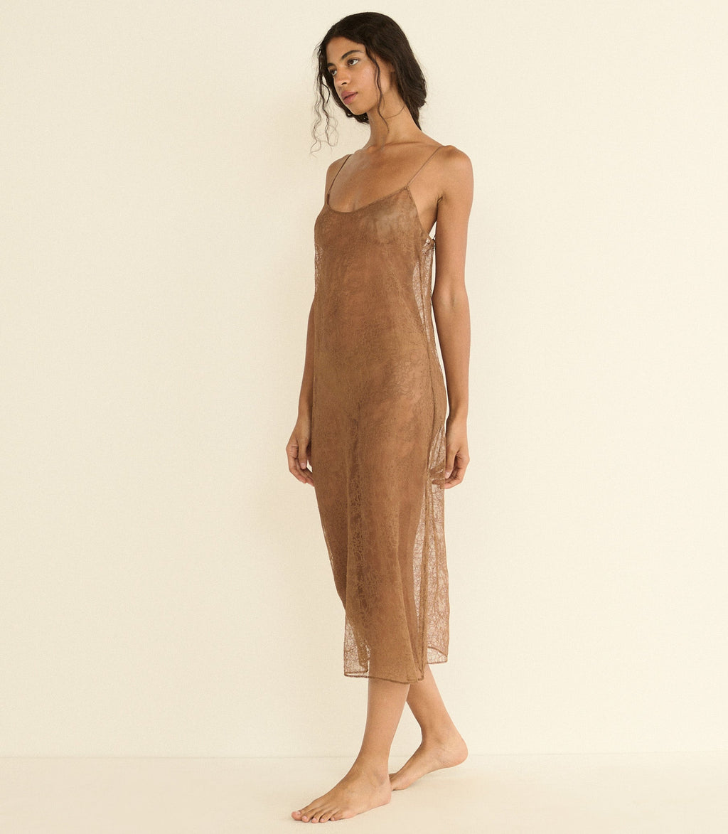 AMEDINE SLIP -- CAROB